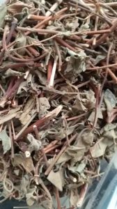 100g cây kim ngân sấy khô