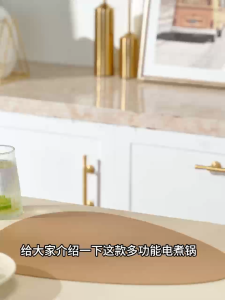 BUFFALO 山本  1.6L/1.8L Digital Multipot | Stainless Steel Electric Cooking Pot | Mini Steam Pot 牛头牌1.6L迷你多功能蒸煮锅 304不锈钢内胆 (KW97)