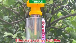 TIHOLE Fruit fly trap Plastic Geel Drosophila Val fly Catcher trap with hijab Bee trap with needle Lure for medicine gold flies Insect trap for Melon fruit tree Vegetable Pest Insect flies Lalat Buah Ubat Attractant Fruit