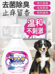 High-Quality Dog Shampoo Bathing Gel Odor Eliminator Pet Washing Bichon Teddy Special Perfume Bath Fluid Supplies for Cats