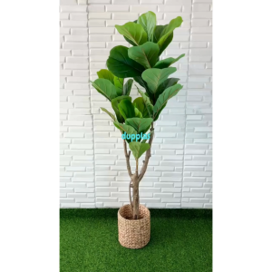 Pohon Artificial Tanaman Plastik Ketapang X3 T150 Latex Cover Pot Eceng Gondok Hiasan Dekorasi Apartemen