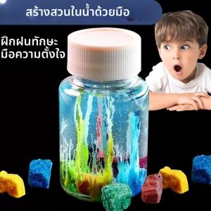 Besee | Educational DIY Growing Water Garden Science Kit Toy