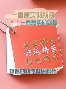 DISCO BEAR | Motivational Ring Notebook for Students School Activity Rewards