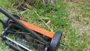 รถเข็นตัดหญ้าแรงคน HUSQVARNA 54 (เก็บเงินปลายทาง)