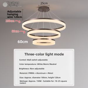 Simplified Modern Luxury Circular LED Ceiling Light
