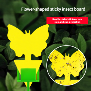 Sticky Traps Fruit Fly Trap Yellow Sticky Bug Trap for Indoor Outdoor Use Insect Pest Control Garden Strong Glue Plant ant trap