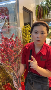 Cành Đào Đông ( 12 nhánh ) cắm cây trang trí Noel - Tết...