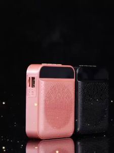 Little Bee Loudspeaker Teacher-Specific Microphone Small Multi-Function Headset Outdoor Selling Portable