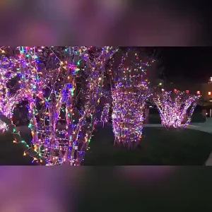 Đèn LED Năng Lượng Mặt Trời Ngoài Trời Dây Đèn LED Hình Cây Thông Cho Sân Vườn Ban Công Đám Cưới Cổ Tích Vòng Hoa Đèn Trang Trí Mùa Hè Ngày Lễ