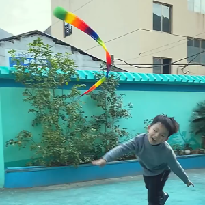 SG Childrens Meteor Ball 65cm Sensory Training Soft Ball with Ribbon Wind Resistance Colorful Toy