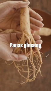 CrownCare Hair Coloring Shampoo Penghitam Rambut Uban + Hair Color Cream pewarna rambut beraroma buah penghitam Rambut Beruban perwarna Rambut Uban Bahan Alami semir rambut-cepat mewarnai rambut hair dye hm