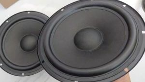 Loa rời bass 20 J BL từ 100 coil 25 gân cao su  - Giá 1 loa - Loa bass -Loa bass rời