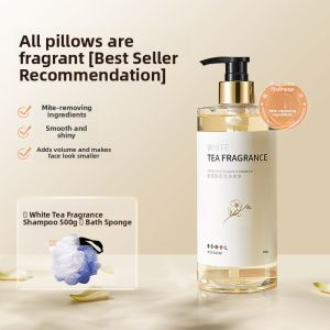 GUSHI | Silicone-Free Dandruff Control Itchy Scalp Shampoo