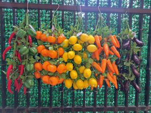 hiasan dapur hiasan resto buah dan sayur artificial renceng