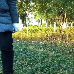 High-branch Saw Branch Pruning Saw Double Hook Garden Tree Trimming Saw without Extension Pole