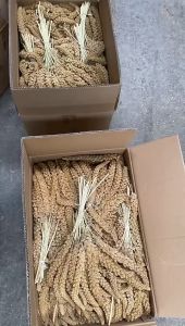 250/500/750g Spray Millet Yellow Parrot Food Bird Seeds Feed Bird Food