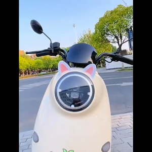 หูแมวตกแต่งรถจักรยานยนต์ อุปกรณ์ตกแต่งหมวกกันน็อค อุปกรณ์ตกแต่งหมวกกันน็อคหูแมว เครื่องประดับตกแต่ง พร้อมส่ง