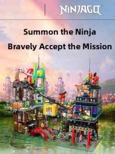 Ninja Series Large Building Blocks