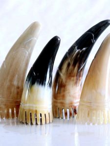 แปรงนวดผมทรงหัวเรือสีขาวแท้ แปรงนวดผมแบบหัวเรือ 5 นิ้ว แปรงนวดผมสำหรับสุขภาพผม แปรงนวดเส้นเลือด แปรงนวดผมแบบจับได้