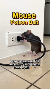 Dont die in the room - Home Rat Killer Poison with Rat Lure That Mice Like to Eat Lason sa Daga Rat Killer for Home Pellet Trap & Rat Repellent Rat Poison Killer Mouse Repellent Mouse Killer pandikit sa daga 100% Effective Mouse Rat Repellent