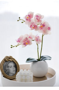 Artificial Butterfly Orchid Flower Home Wedding Decoration Simulation Orchid Flower Pot