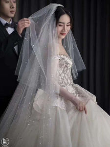 Long Tail Bridal Veil Sparkling Rare Diamond Headwear Double Layer Vintage Super Fairy Tale Wedding Dress Accessory