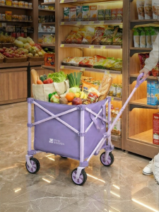 Mobi Garden | Multipurpose Shopping Cart Mini Trolley