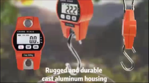 Portable Mini Digital Scale 300/200KG Display Industrial Crane Scale For Fishing luggage Travel Weighing Kitchen Weighing Tools LED Digital Electronic Hanging Scale