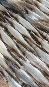 KHÔ CÁ LÌM KÌM – MÓN NGON ĐẶC SẢN 1 NẮNG SIÊU TO THỊT NGỌT