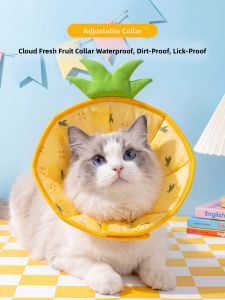 SHENJINGMAO | Waterproof Anti-lick Surgical Recovery Protection Collar