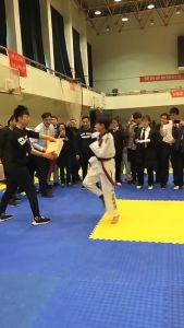 5Pcs Karate Performance Boards: A Comprehensive Guide