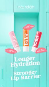 WARDAH Everyday Fruity Sheer Lip Balm