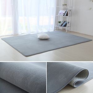 COZY Simple modern coral velvet carpet bedroom living room coffee table floor mat non-slip no deform