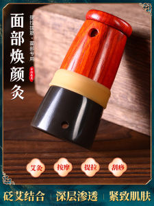 Portable Facial Beauty Stone Thermotherapy Device Personal Massage Equipment Home Use Scrubbing Aromatherapy Tool for Salon