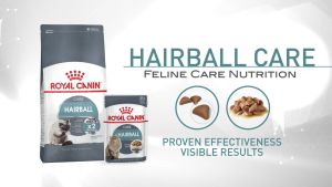 Hạt cho mèo Royal Canin HairBall Care Thức ăn thải búi lông cho mèo 400g Petemo Pet Shop