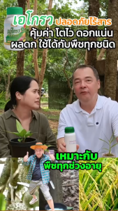A Grow เอโกรว ปุ๋ยพี่เอ อนันต์ ปุ๋ย เร่งต้น เร่งการ เจริญเติบโต ไม้ดอก ไม้ประดับ ไม้ผล