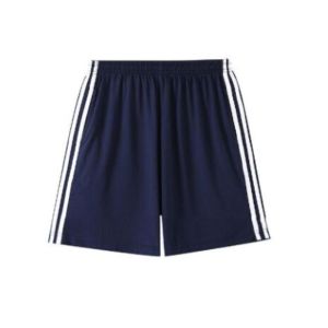 Japanese Style High School Gymnastics Suit Womens Pure Cotton T-Shirt Casual Shorts Sports Wear Set Japanese Sportswear