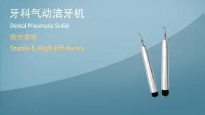 NICEDEN Dental Ultrasonic Air Scaler with 3 Tips Tooth Calculus Remover Cleaning Tool Handpiece Whiten Tooth Cleaner Dentist Lab