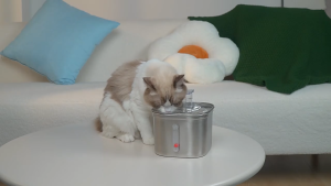 Pet Water Dispenser 2.2L Automatic Cat Drinker 304 Stainless Steel Pet Fountain Dog Waterer