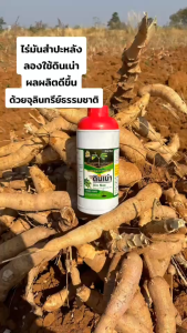ดินเน่า 1000ลิตร กู้ดิน – ฟื้นฟูดิน เสริมพลังพืช