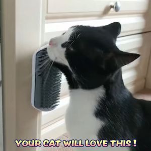 Cat Self Grooming Massage Brush Wall Corner Comb Dog Berus Sikat Kucing Dinding Scratcher Cat Hair Removal Brush