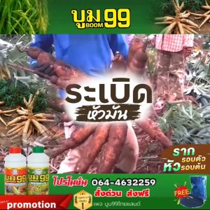 ปุ๋ยน้ำบูม99 แถมเสื้อ  เร่งแป้ง ขยายหัวมัน เก็บโค้ดส่งฟรีก่อนสั่ง‼️