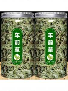 Wild Fresh Plantain Herbal Tea