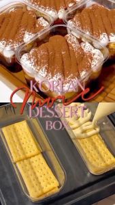Korean Dessert Box Tiramisu Cake Mika Rectangle 450ml + Lid / SX-231