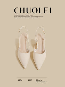 CHUOLEI | Spring Versatile Pointed Toe Pumps