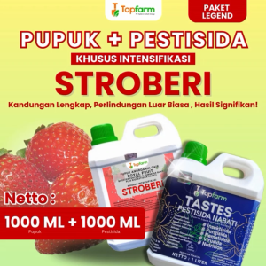 Pupuk Topfarm / Pupuk Stroberi Terbaik / Pupuk Cair Khusus Tanaman Stroberi / Pupuk Pelebat Pembesar Buah Stroberi  / Obat Hama Daun Stroberi  / Obat Semprot Hama Bercak Daun Stroberi  / Obat Hama Jamur  Daun Buah Stroberi