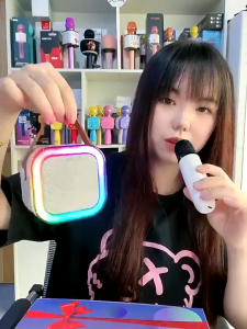 SIMHOME K12 Wireless Karaoke Mini Portable Speaker Karaoke Set Home Ktv Bluetooth Speaker With 2 Mic 藍牙音箱