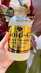 Jelly Gamat Bio Gold G Paket Combo ( 500 ml Free 100ml ) Asli Original 100%