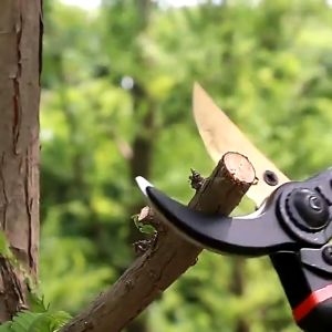 Gunting Cabang SK5 Berkualitas Tinggi - Gunting Taman dan Bonsai