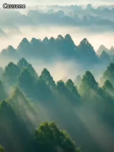 Thanh Hít Chống Say Xe Causone Hương Bạc Hà Và Trái Cây Giúp Tỉnh Táo Giảm Buồn Nôn Tiện Lợi Mang Theo